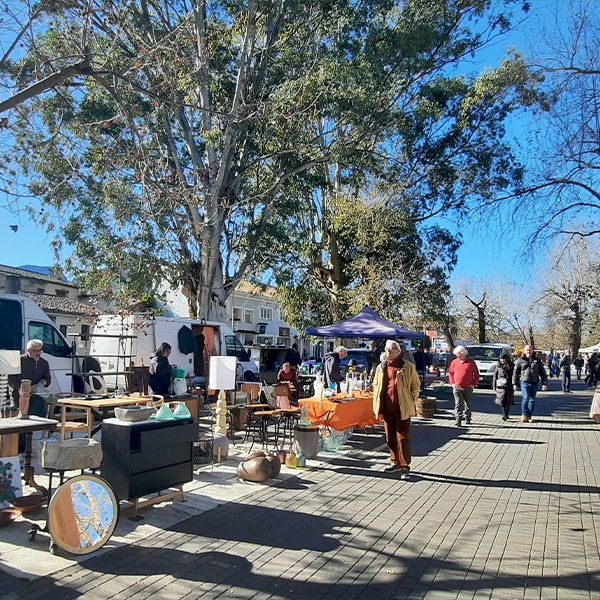 Gezellige sfeer op de beroemde antiekmarkt El Rastro in de Jalon Vallei, waar bezoekers onder de bomen zoeken naar curiosa en meubels, vlak bij Cala Natura Benissa.
