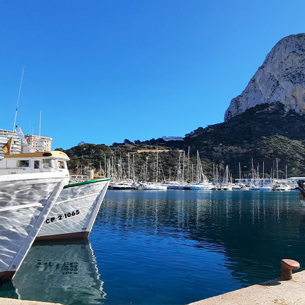 Traditionele vissersboten en moderne zeiljachten in de haven van Calpe aan de voet van de Peñón de Ifach, vlak bij investeringsproject Cala Natura.