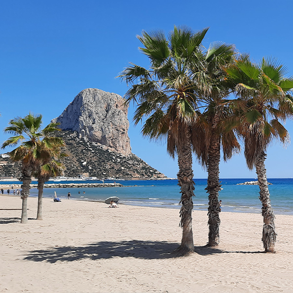 Zandstrand met palmbomen in Calpe en uitzicht op de Peñón de Ifach, een populaire trekpleister voor gezinnen vlak bij investeringsproject Cala Natura.